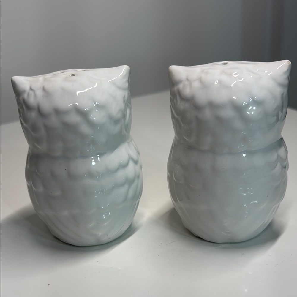 White Ceramic Owl Figurine Salt & Pepper shaker - Picture 3 of 6